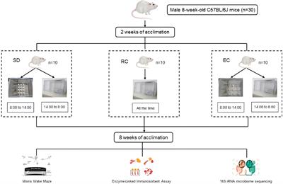 The relationship between gut microbiota and inflammatory response, learning and memory in mice by sleep deprivation